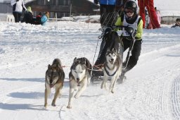 Lenk 2012 SM
